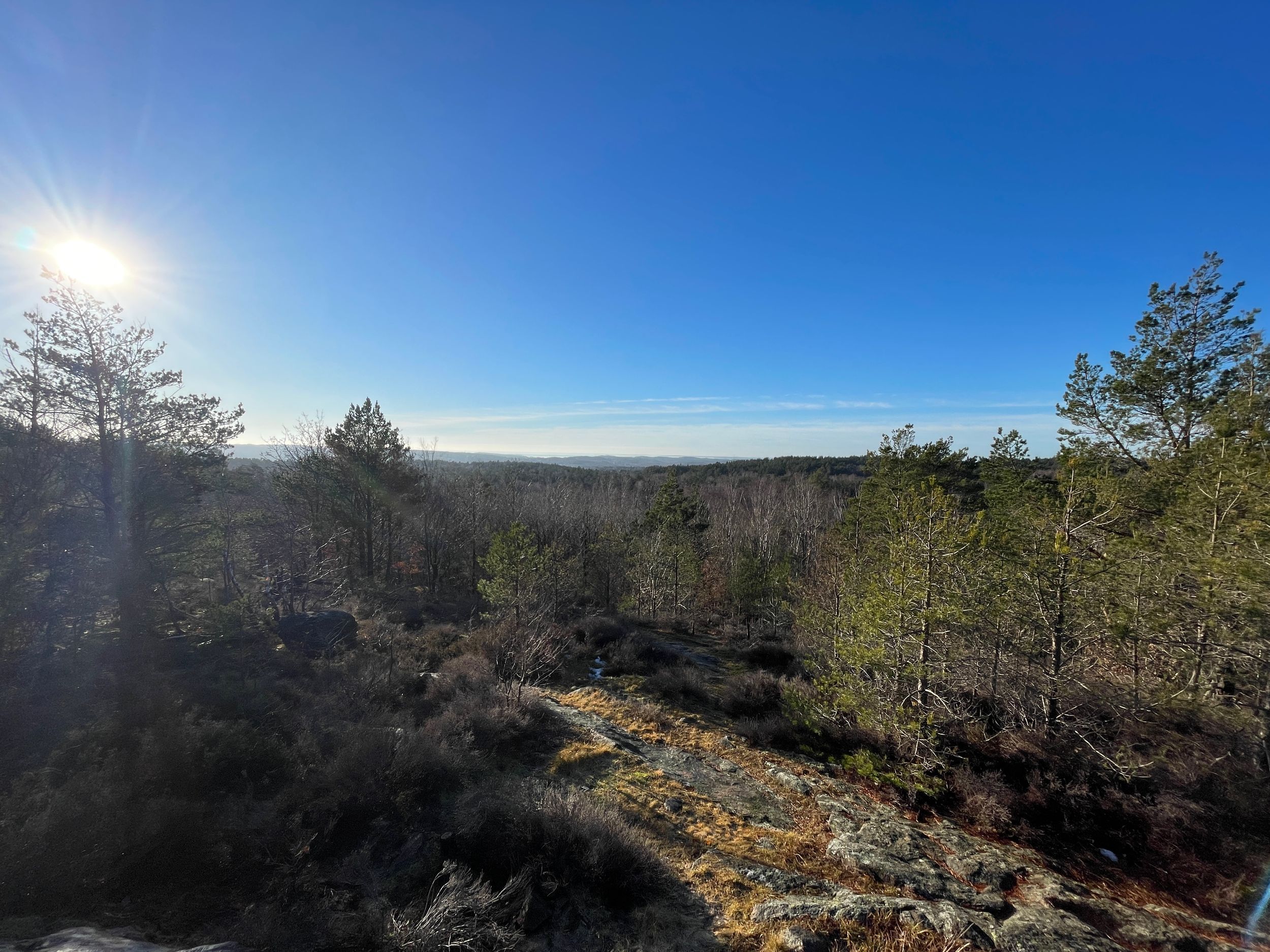 Lövkullens fasad i Änggårdsbergen, Göteborg